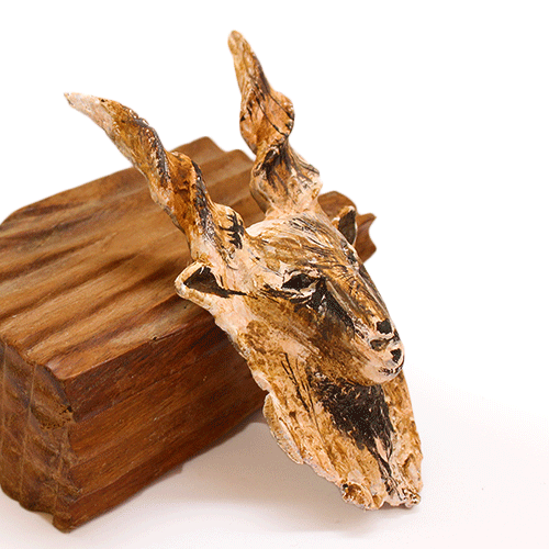 Markhor Magnet