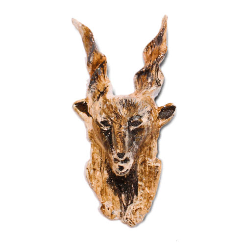 Markhor Magnet