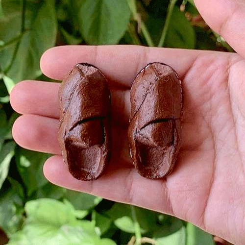 Shoe Magnets