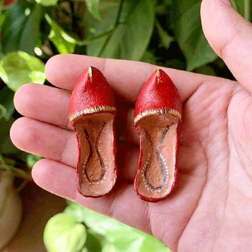 Shoe Magnets