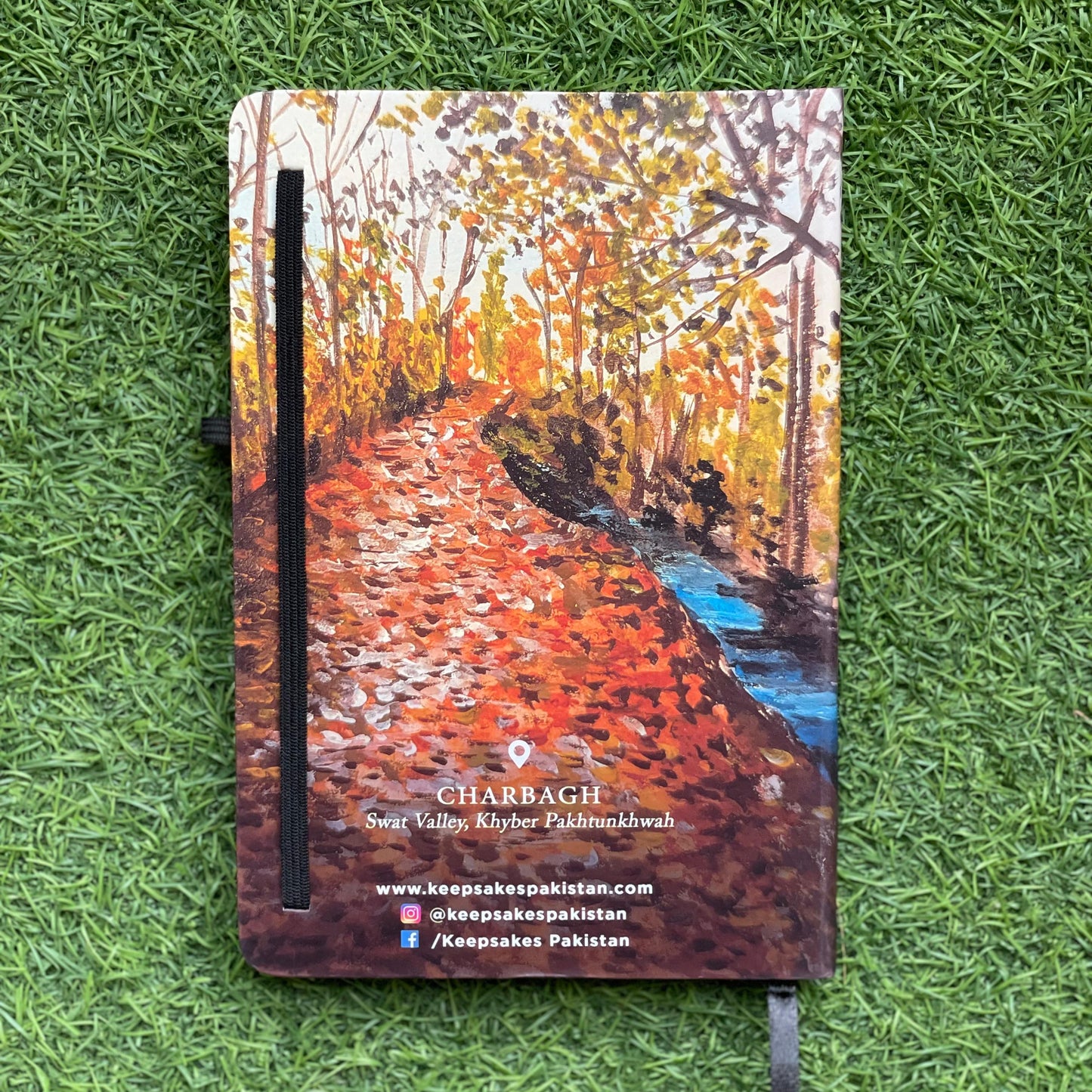 Charbagh, Swat Notebook