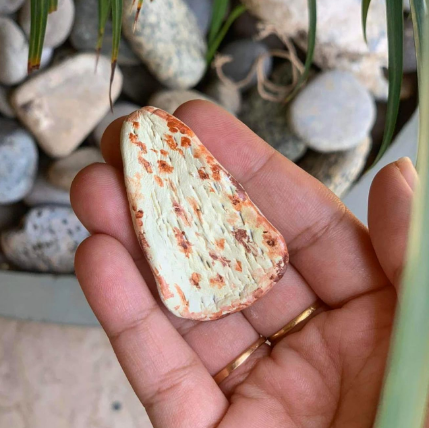 Roti Magnets