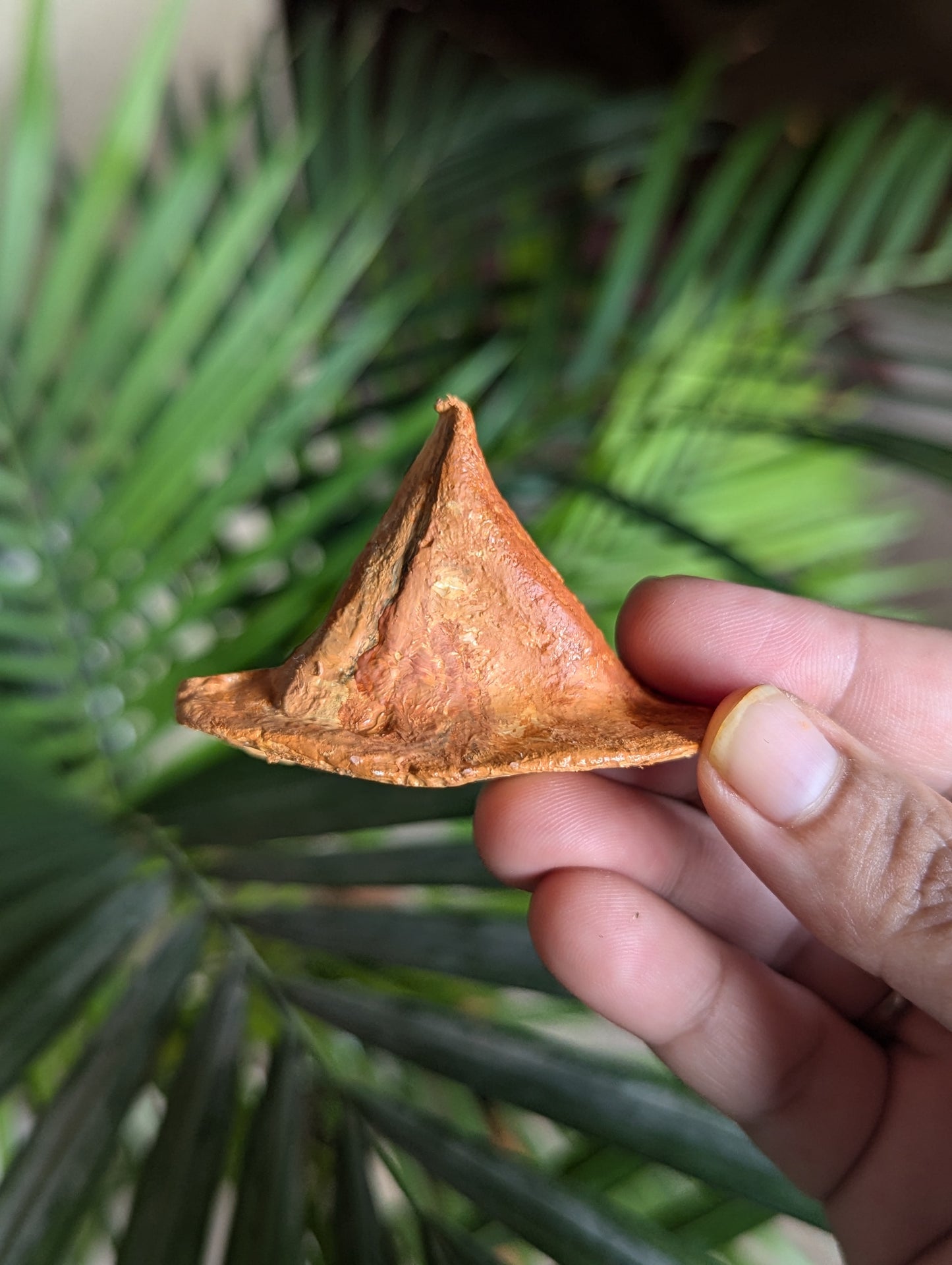 Aalu Samosa Magnet